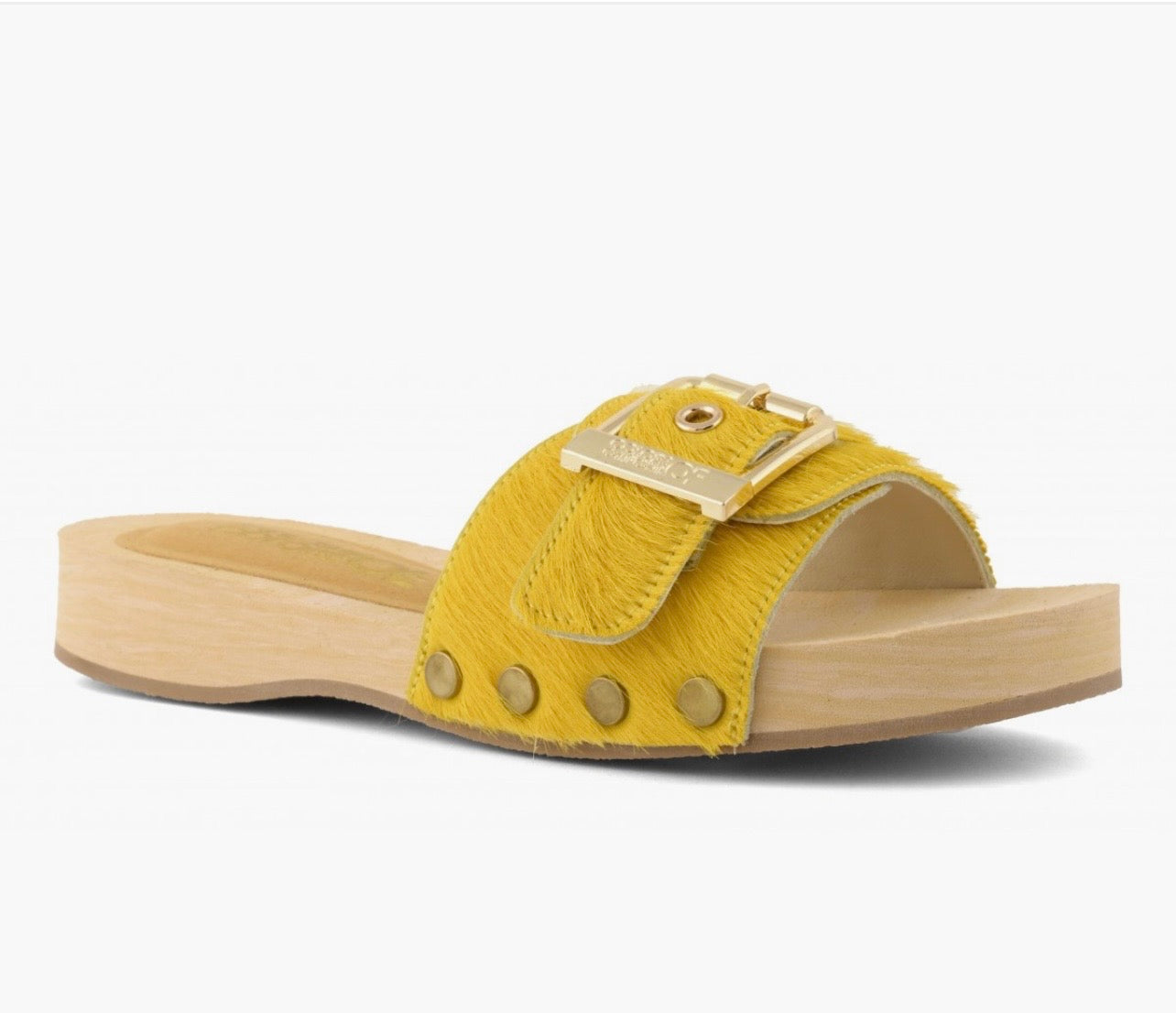 Zoccolo in cavallino giallo