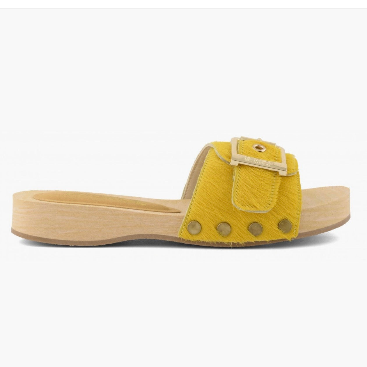 Zoccolo in cavallino giallo